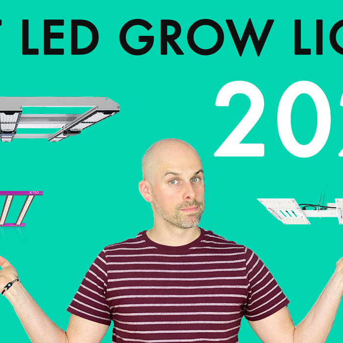 Best LED Grow Lights 2022 Video