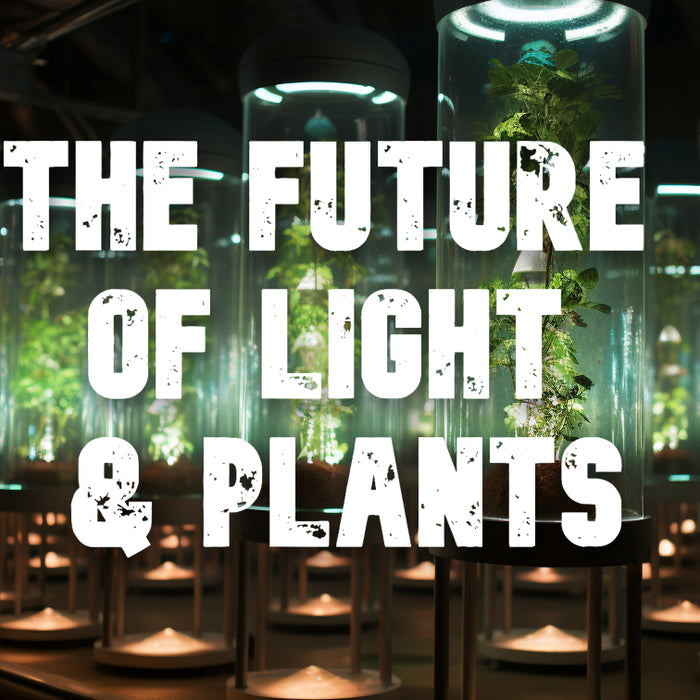 Future Developments and Innovations in Plant Cultivation: Harnessing Light for Optimal Growth