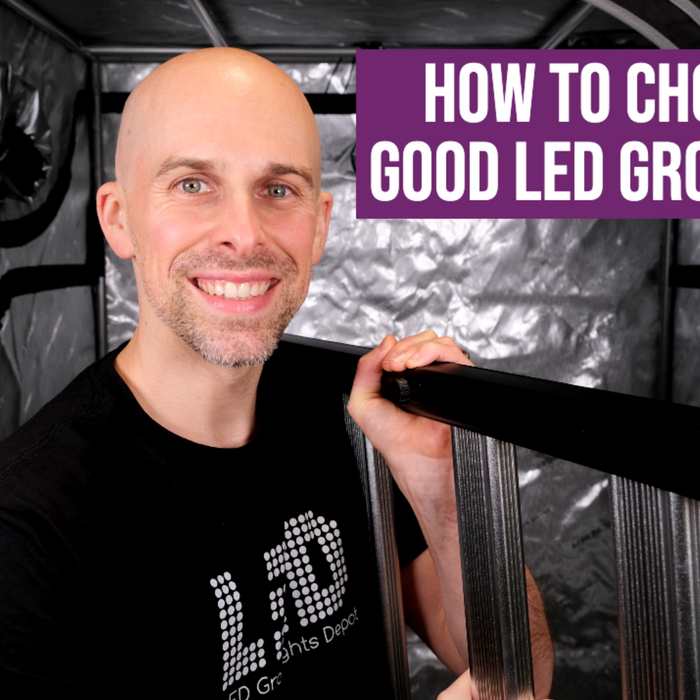 How to Choose a Good LED Grow Light