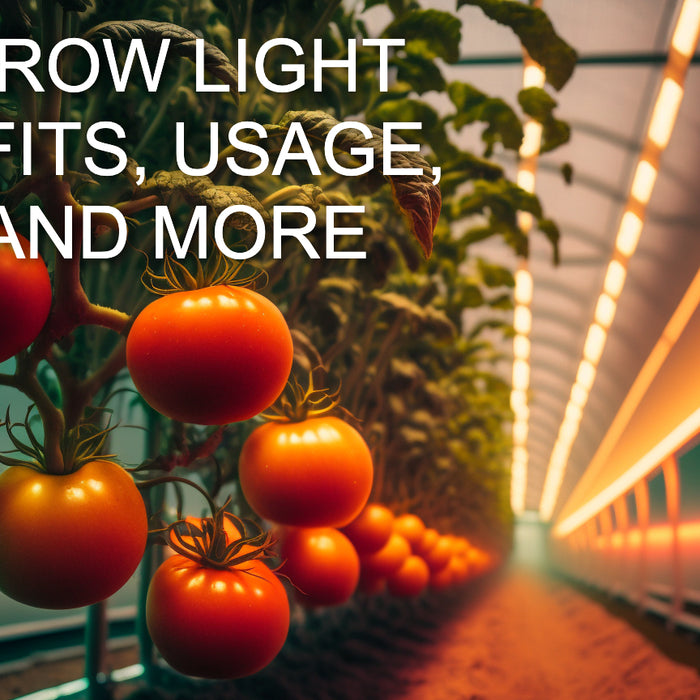 LED Grow Light Overview—Benefits, Usage, Tips, and More!