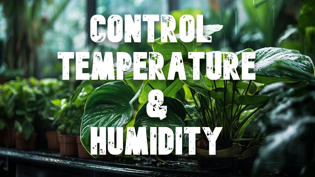 Mastering Temperature and Humidity Control in Your Indoor Grow Space