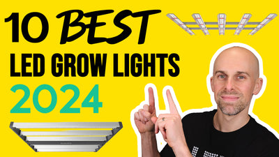 Best LED Grow Lights 2024