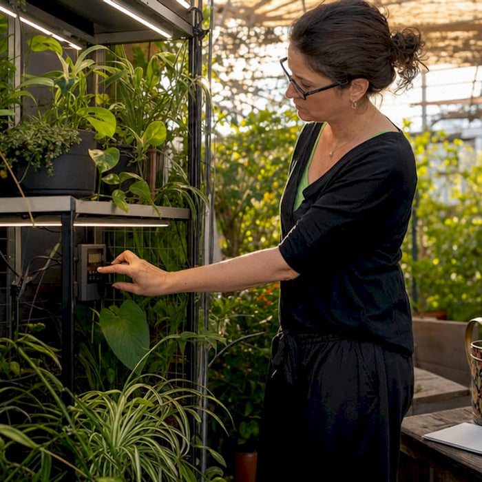 Woman adjusting grow light timer for indoor plants