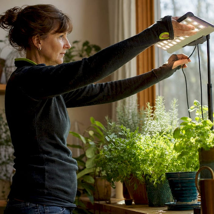Woman adjusting LED grow light above indoor plants