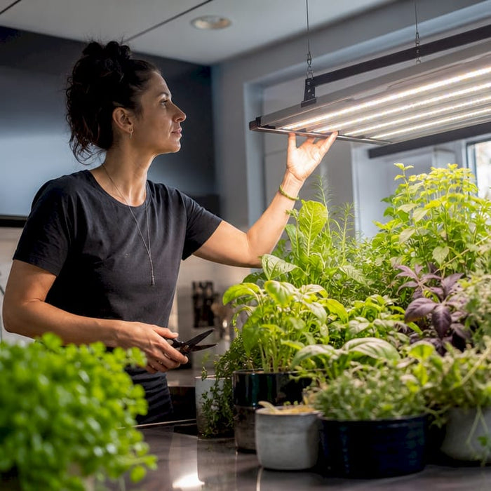 Woman adjusting full spectrum grow light in indoor garden
