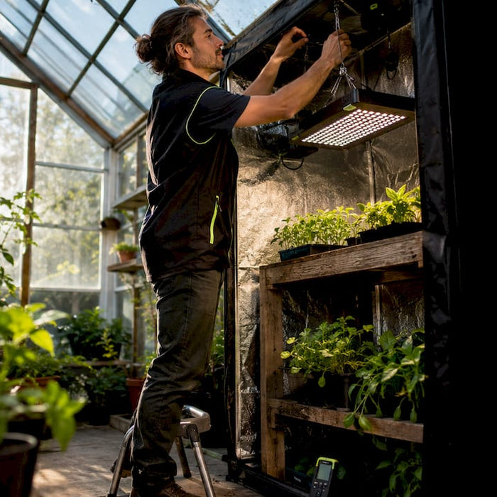 Gardener adjusting indoor grow light height