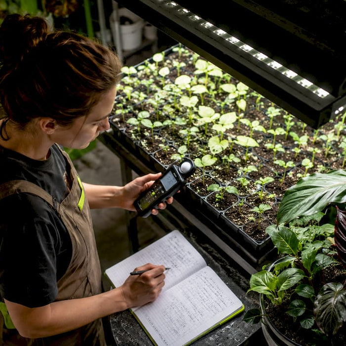 Horticulturist measuring seedling light intensity