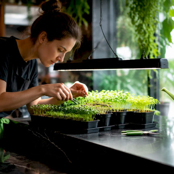 Woman arranging short plants under small LED grow lights