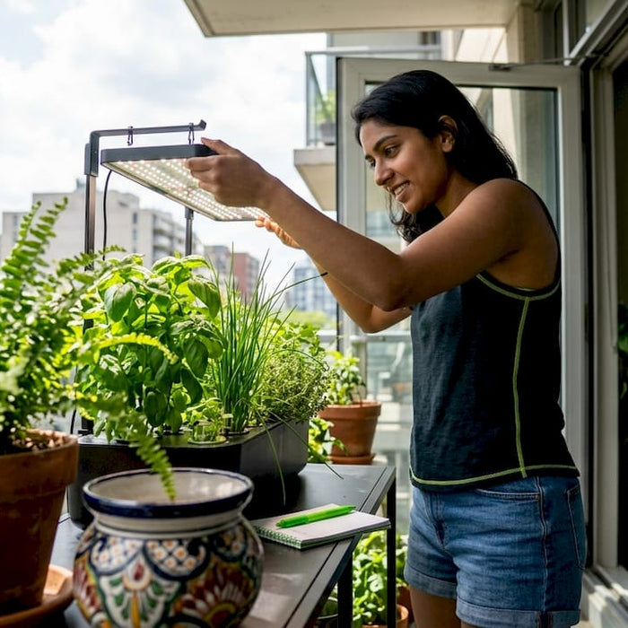Woman adjusting LED lights over indoor herb garden