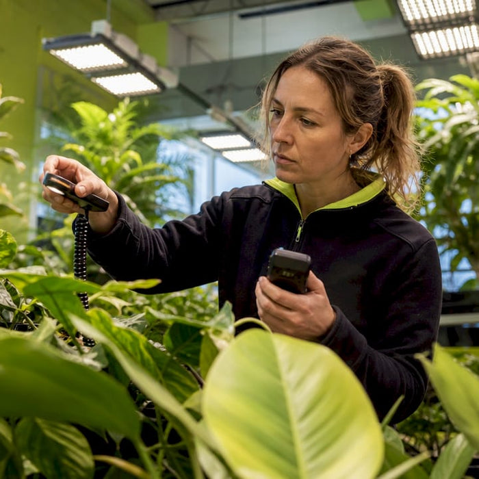 Researcher measuring indoor plant light distribution