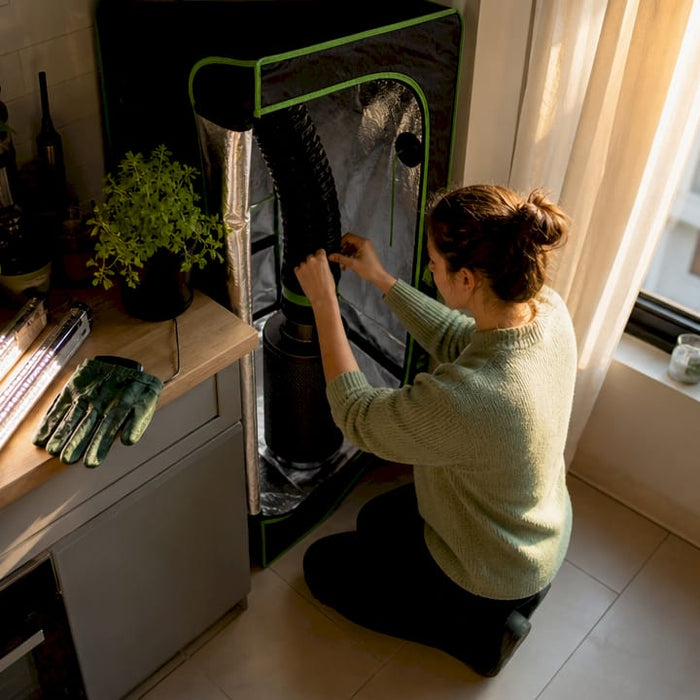 Woman setting up compact grow tent in apartment corner