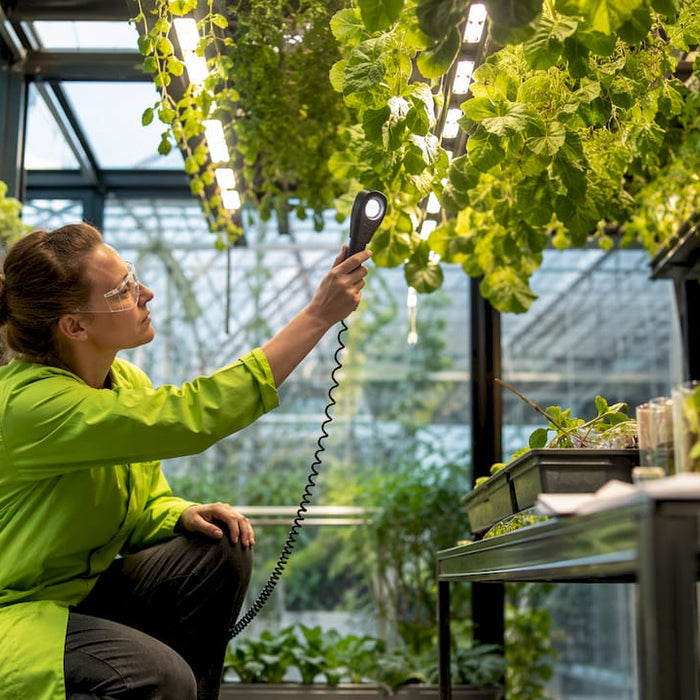 Technician measuring light uniformity in grow facility
