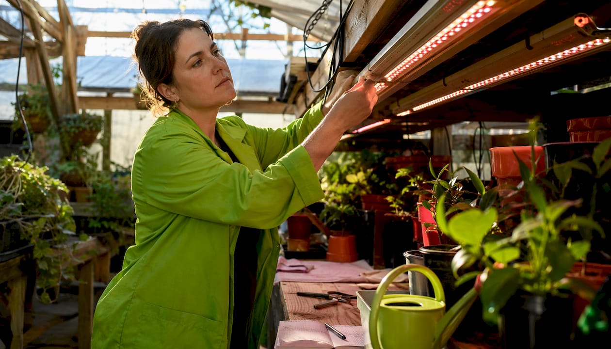 Scientist adjusting infrared LED light in plant growth chamber
