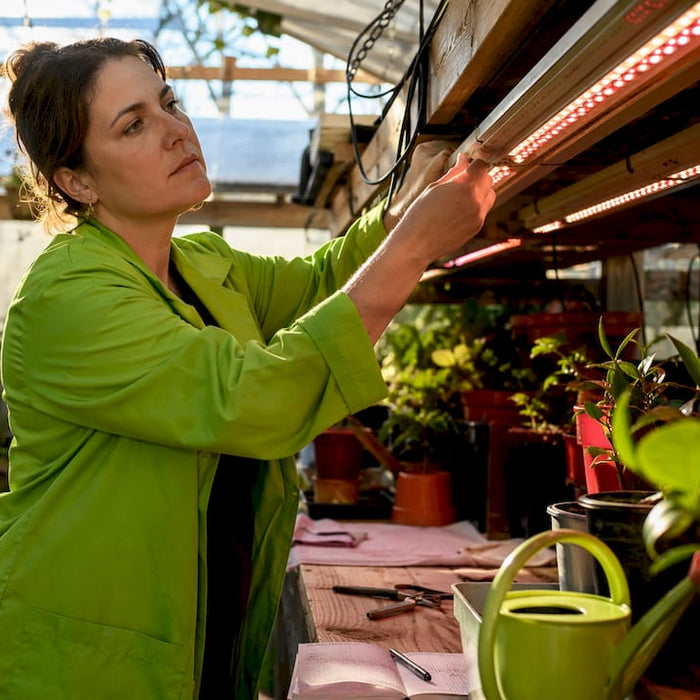 Scientist adjusting infrared LED light in plant growth chamber