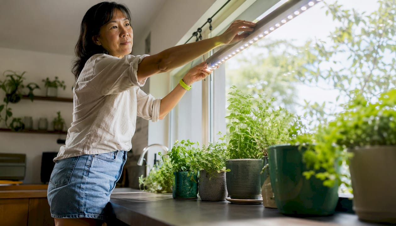 Woman adjusting LED grow light over indoor plants