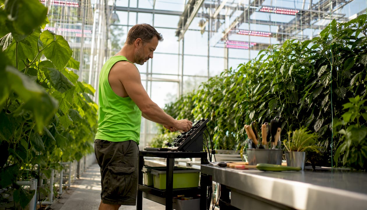 Grower adjusting lighting control panel in grow room