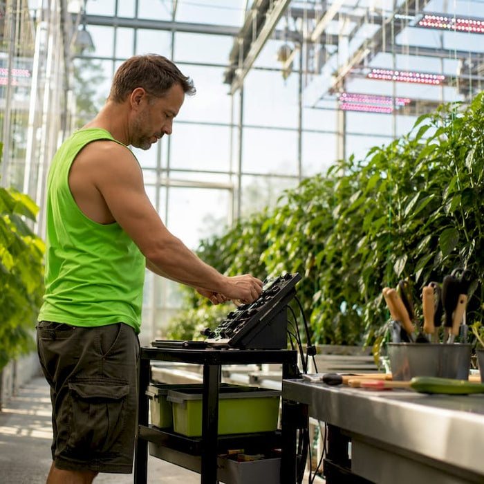 Grower adjusting lighting control panel in grow room