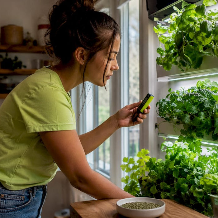 Woman inspecting wall-mounted hydroponic grow system