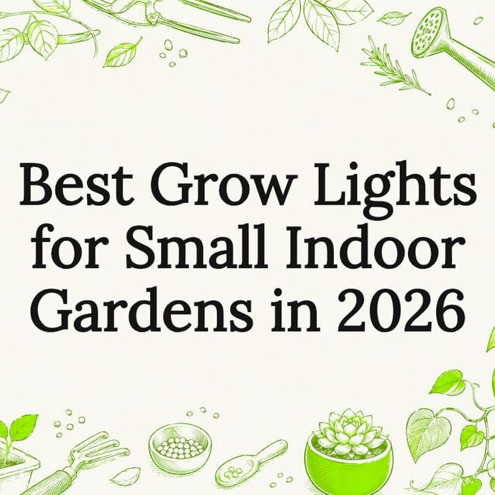 Decorative title card illustration for indoor grow lights article