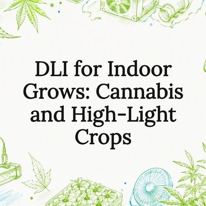 Decorative title card illustration for indoor grow lights and DLI article