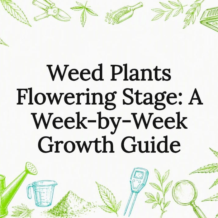 Decorative botanical and technology title card illustration