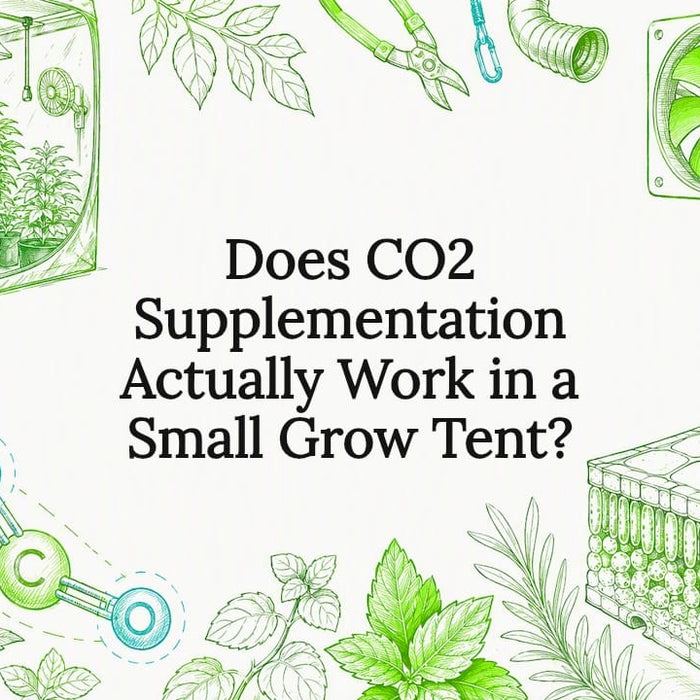 Decorative title card illustration with botanical and CO2 elements