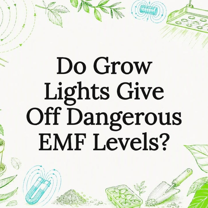 Decorative sketch themed title card for electromagnetic grow light article