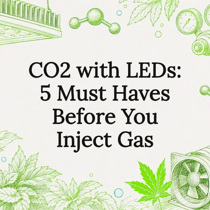 Decorative CO2 and LED grow title card