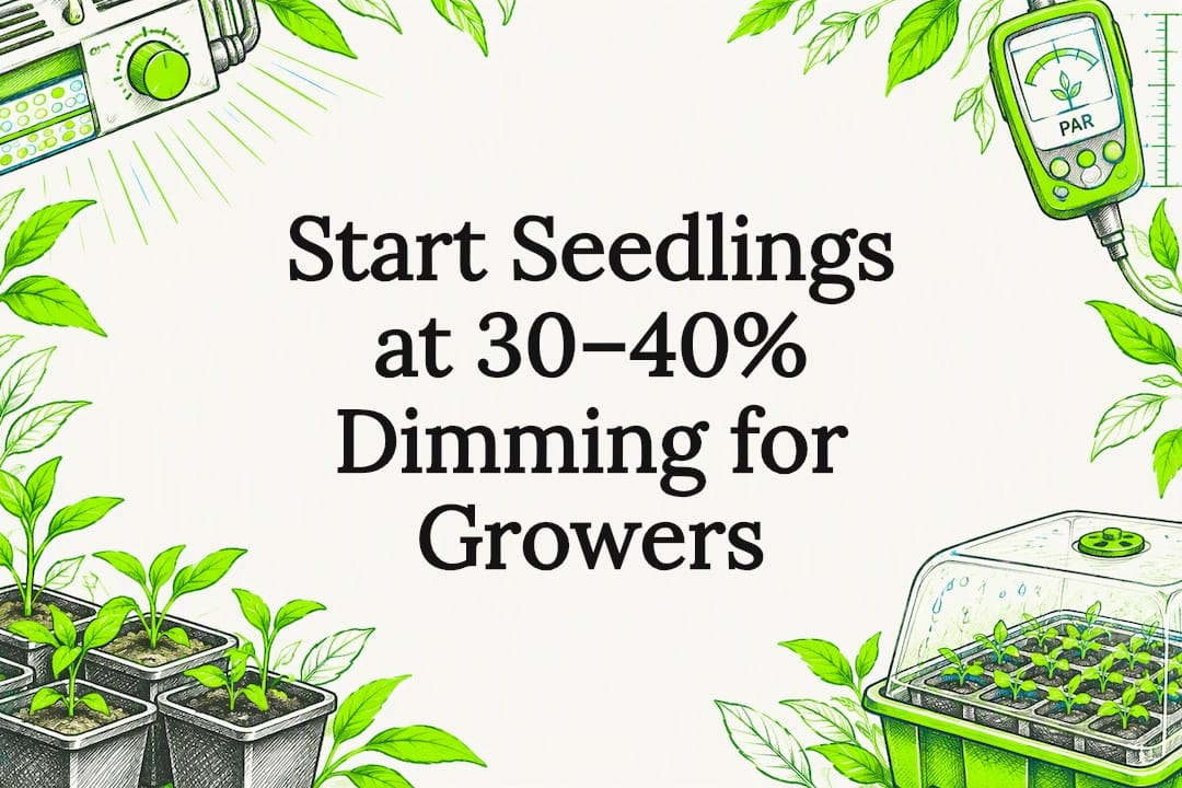 Decorative seedling lighting title card