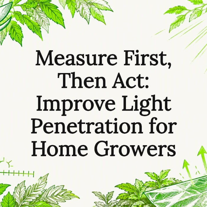 Decorative light penetration title card