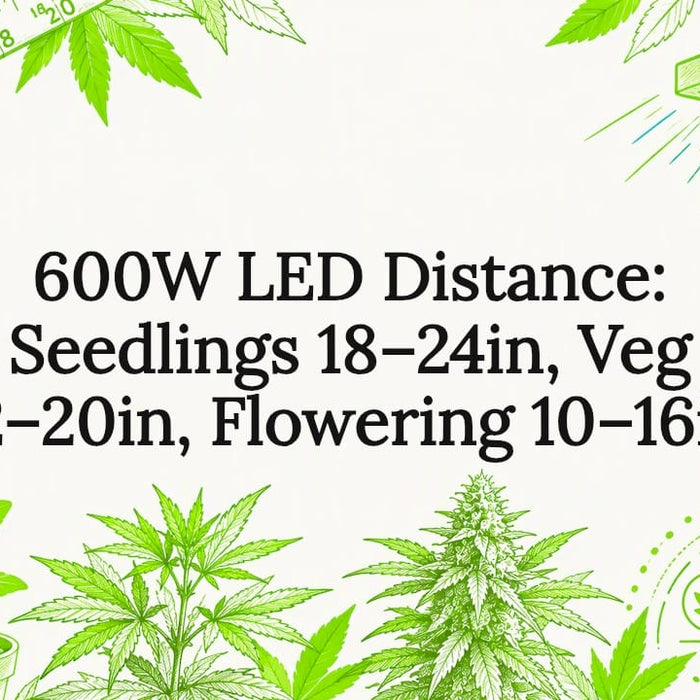 600W LED hanging distance title card
