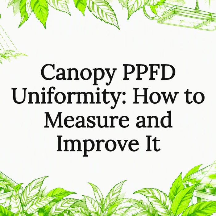 Decorative PPFD uniformity title card illustration