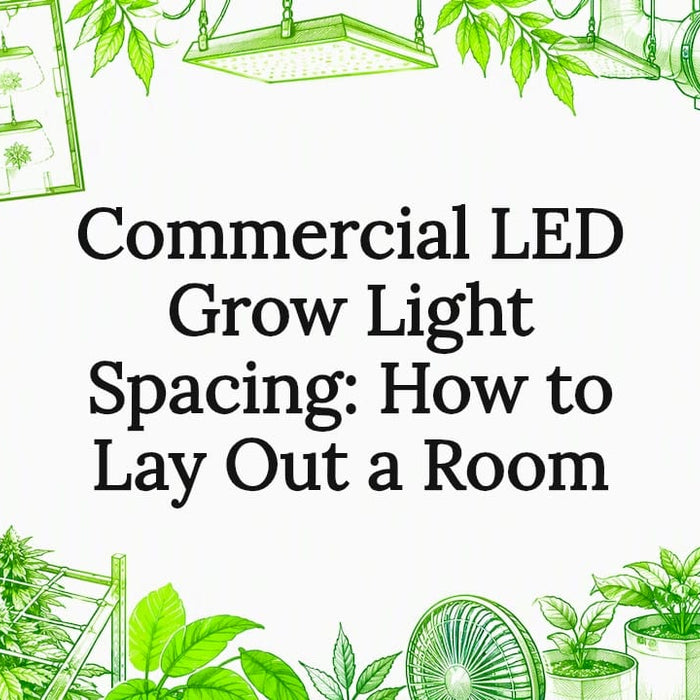 Hand-drawn grow room lighting title card