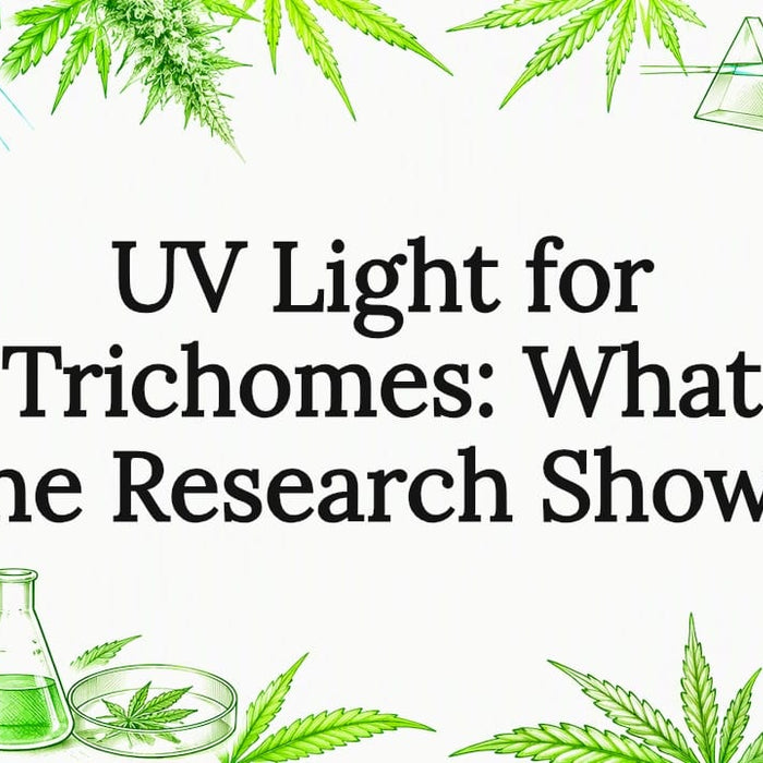Hand-drawn UV trichome research cover