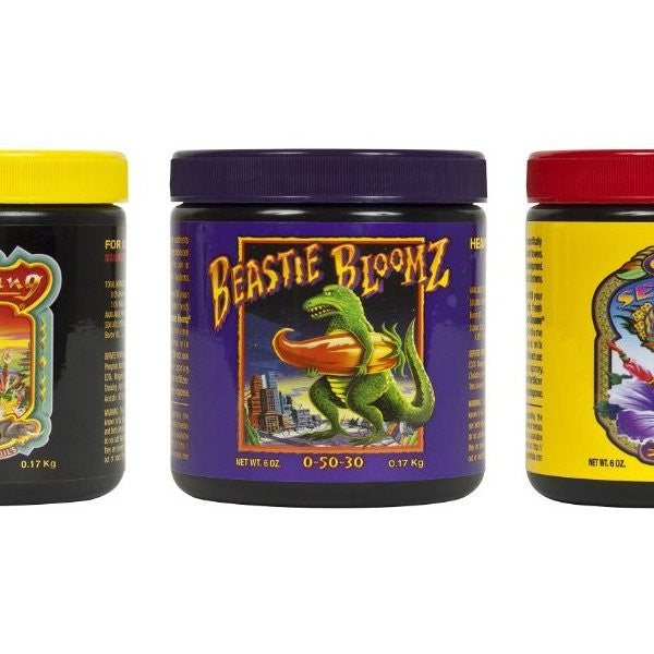 7 BEST flower enhancers for your indoor garden