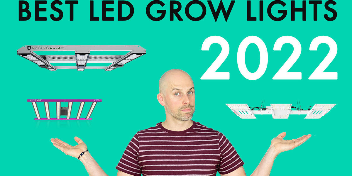 Best LED Grow lights 2022 Review — LED Grow Lights Depot