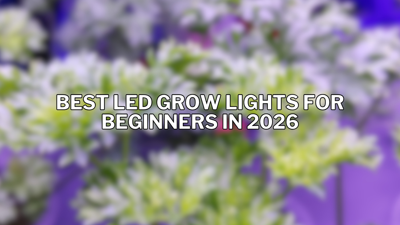Best LED Grow Lights for Beginners in 2026