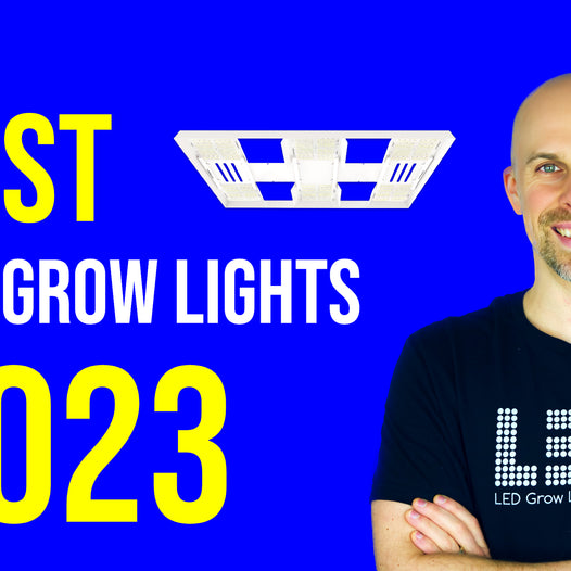 9 Best LED Grow Lights 2023
