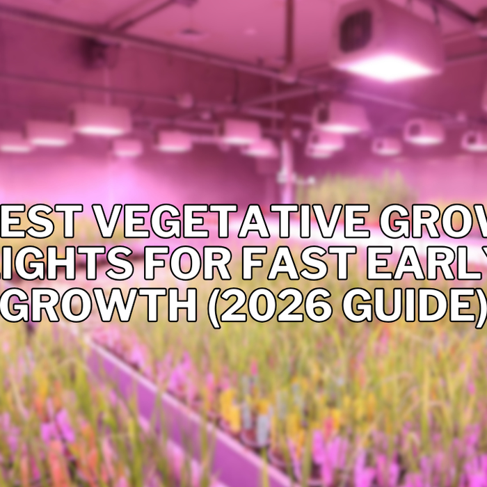 Best Vegetative Grow Lights for Fast Early Growth (2026 Guide)