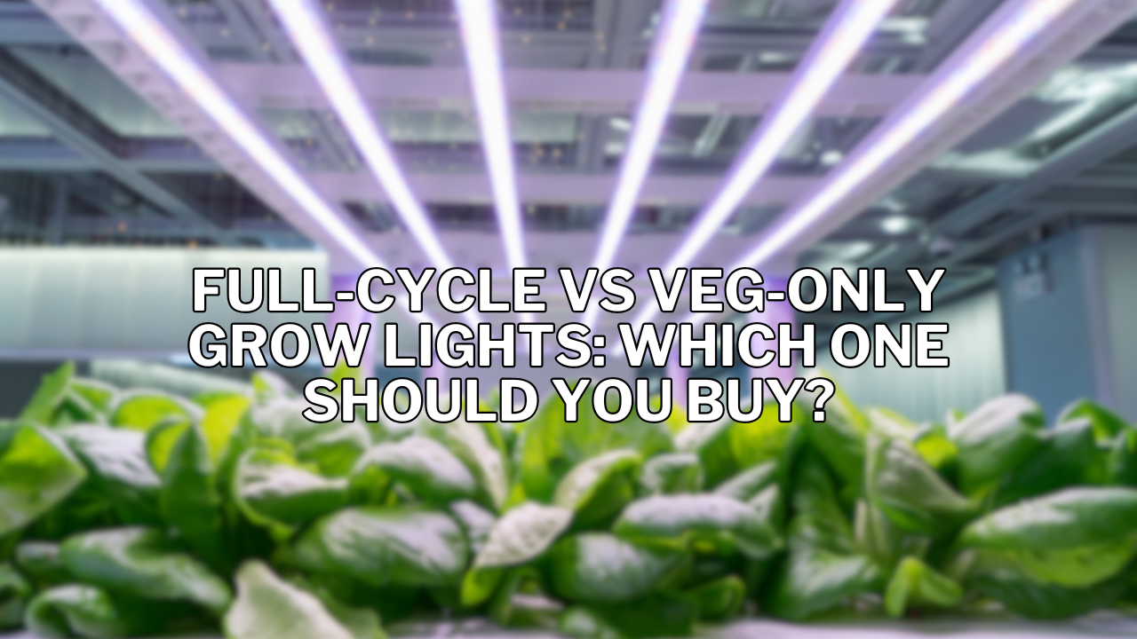 Full-Cycle vs Veg-Only Grow Lights: Which One Should You Buy?