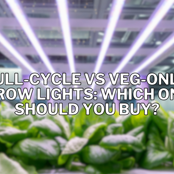 Full-Cycle vs Veg-Only Grow Lights: Which One Should You Buy?