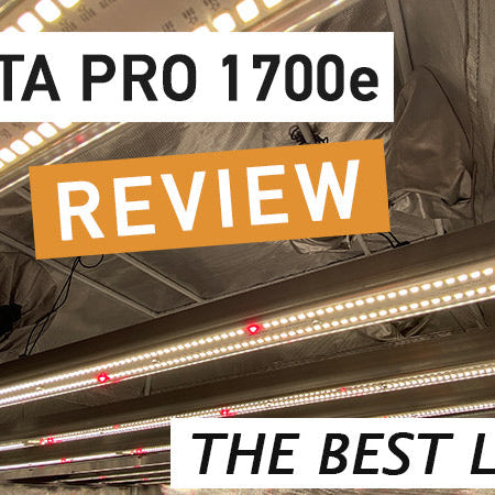 Gavita 1700e Review