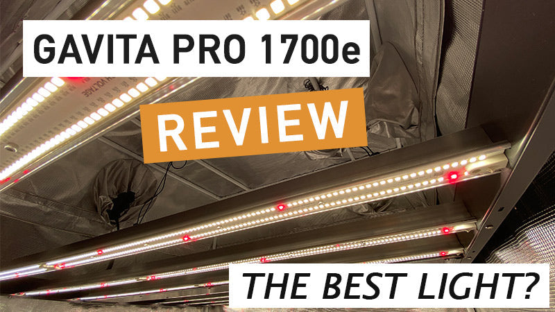 Gavita 1700e Review