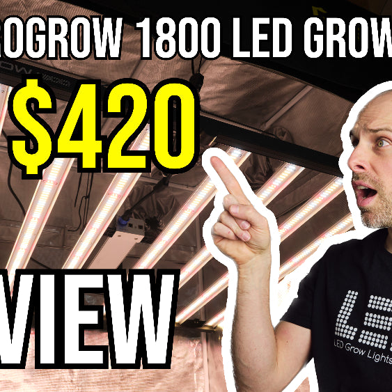 Grow Light Science PROGROW 1800 Review