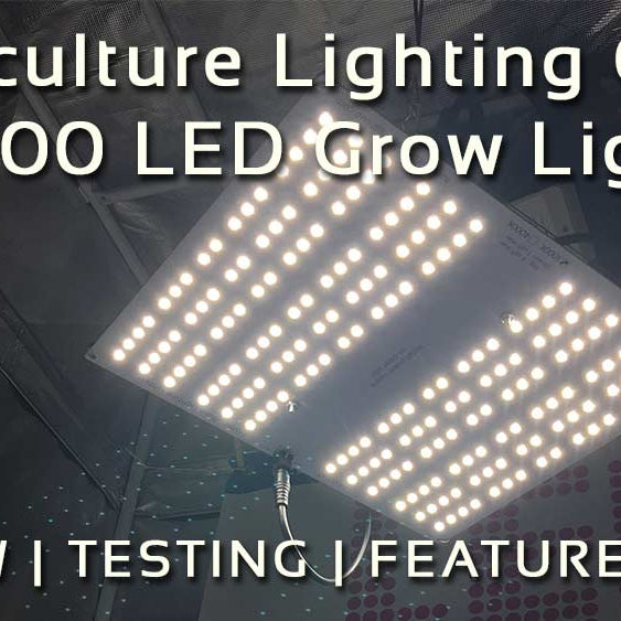 HLG 100 LED grow light
