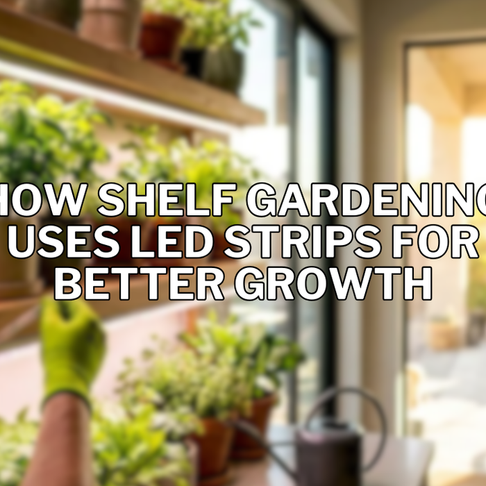 How Shelf Gardening Uses LED Strips for Better Growth