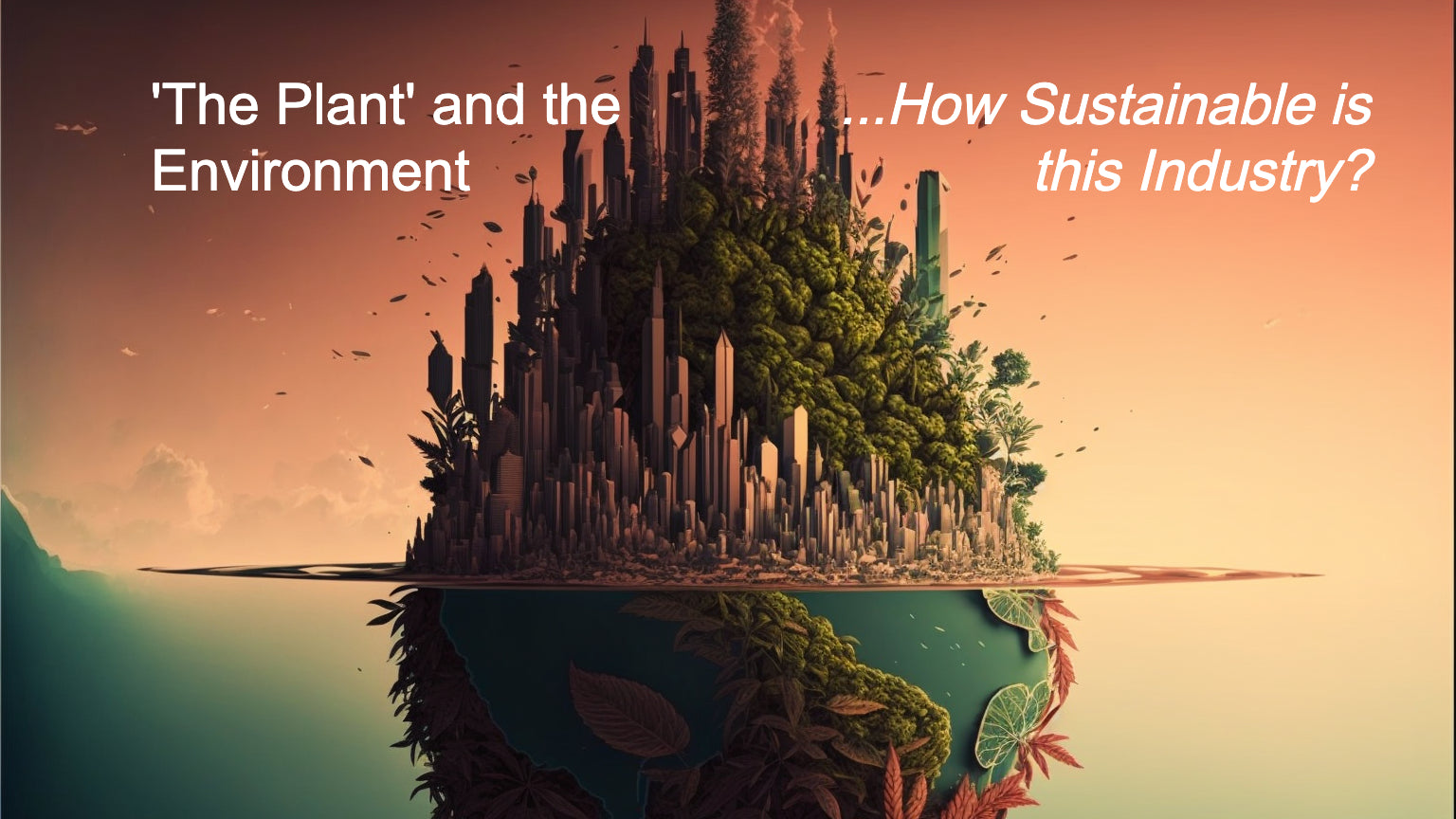 'The Plant' and the Environment: How Sustainable is this Industry?