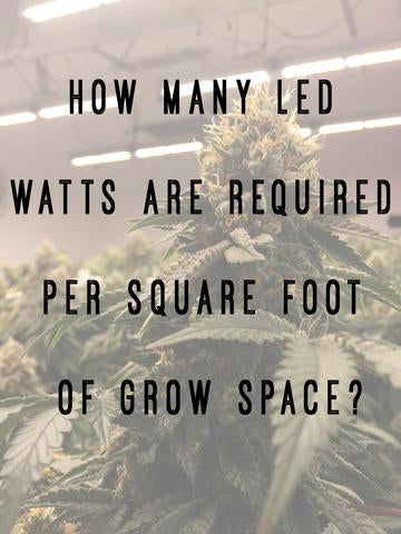 How Many LED Watts Are Required Per Square Foot of Grow Space?