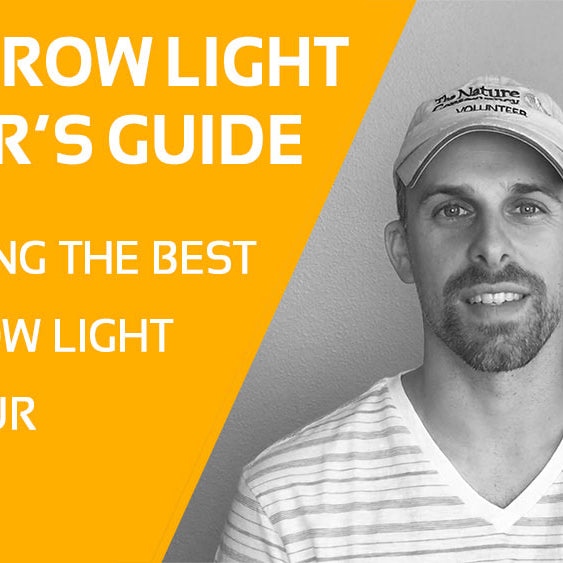 how to choose the best led grow light