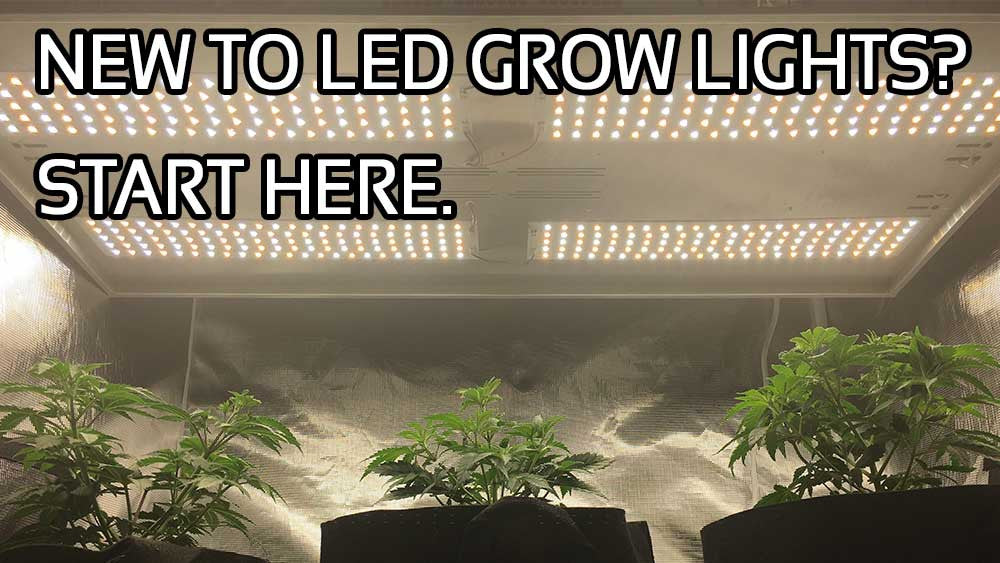New to LED Grow Lights? Start here. How to choose the BEST LED grow light for your grow.